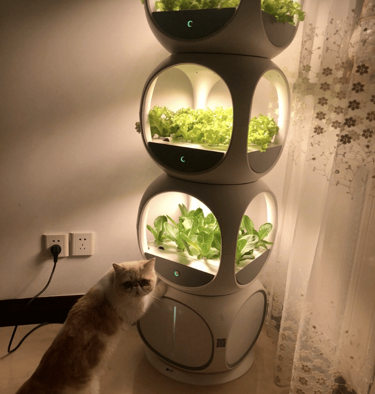 疫情让"智能种菜机"火了一把,靠它真能在家就实现蔬菜自由吗?