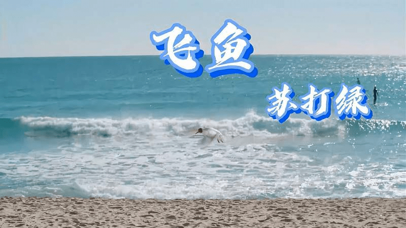 这是2005年11月收录于《苏打绿》专辑的一首歌《飞鱼》,通过这首歌