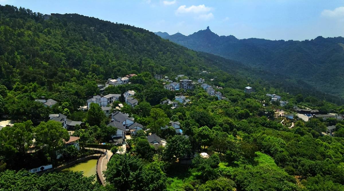 「区县解读」南岸"强富美"乡村建设_南岸区_南山_股份经济