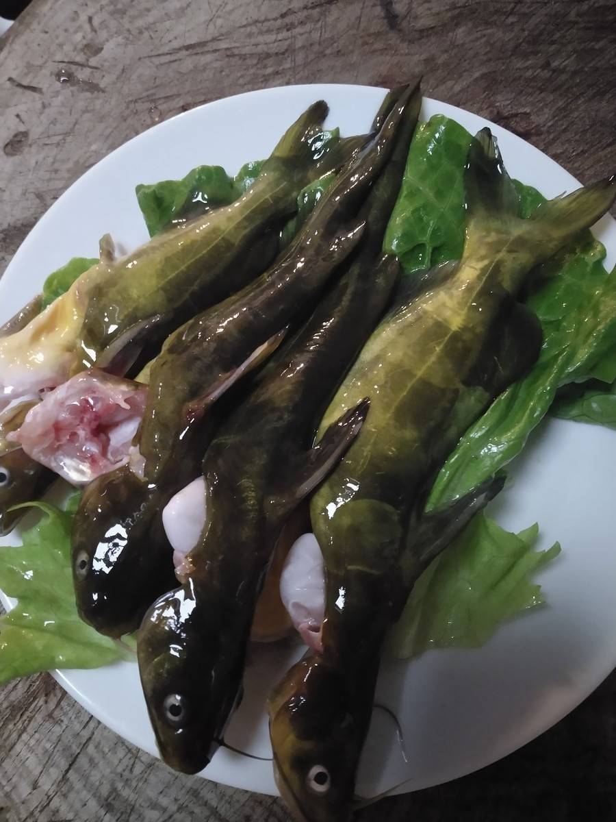 厨师分享"酸汤黄鸭叫"做法,鱼肉鲜美,酸辣开胃,闻着流口水!
