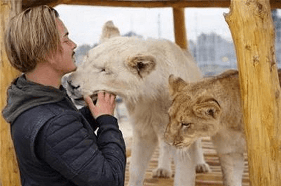 去非洲救助野生動物,獅子同他建立友好關係_男子_紀錄片_救援