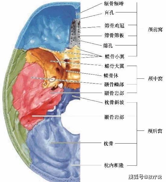 原創好書推薦頭頸部放射治療解剖圖譜