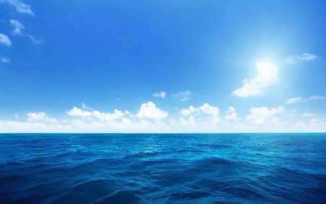 鼎鼎蛇类,如以毒性猛烈为代表的太攀蛇,眼镜蛇,黑曼巴,虎蛇,金环蛇等