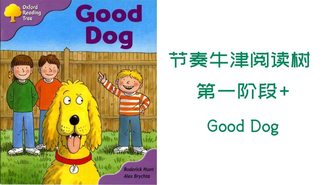 【节奏牛津阅读树】第一阶段 good dog_at_floppy_dog