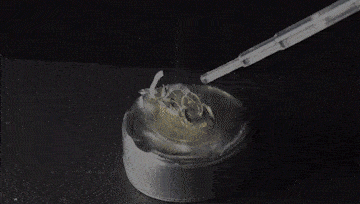 世界上最强的酸,连玻璃都扛不住,酸性是纯硫酸的2000亿亿倍_王水_盐酸