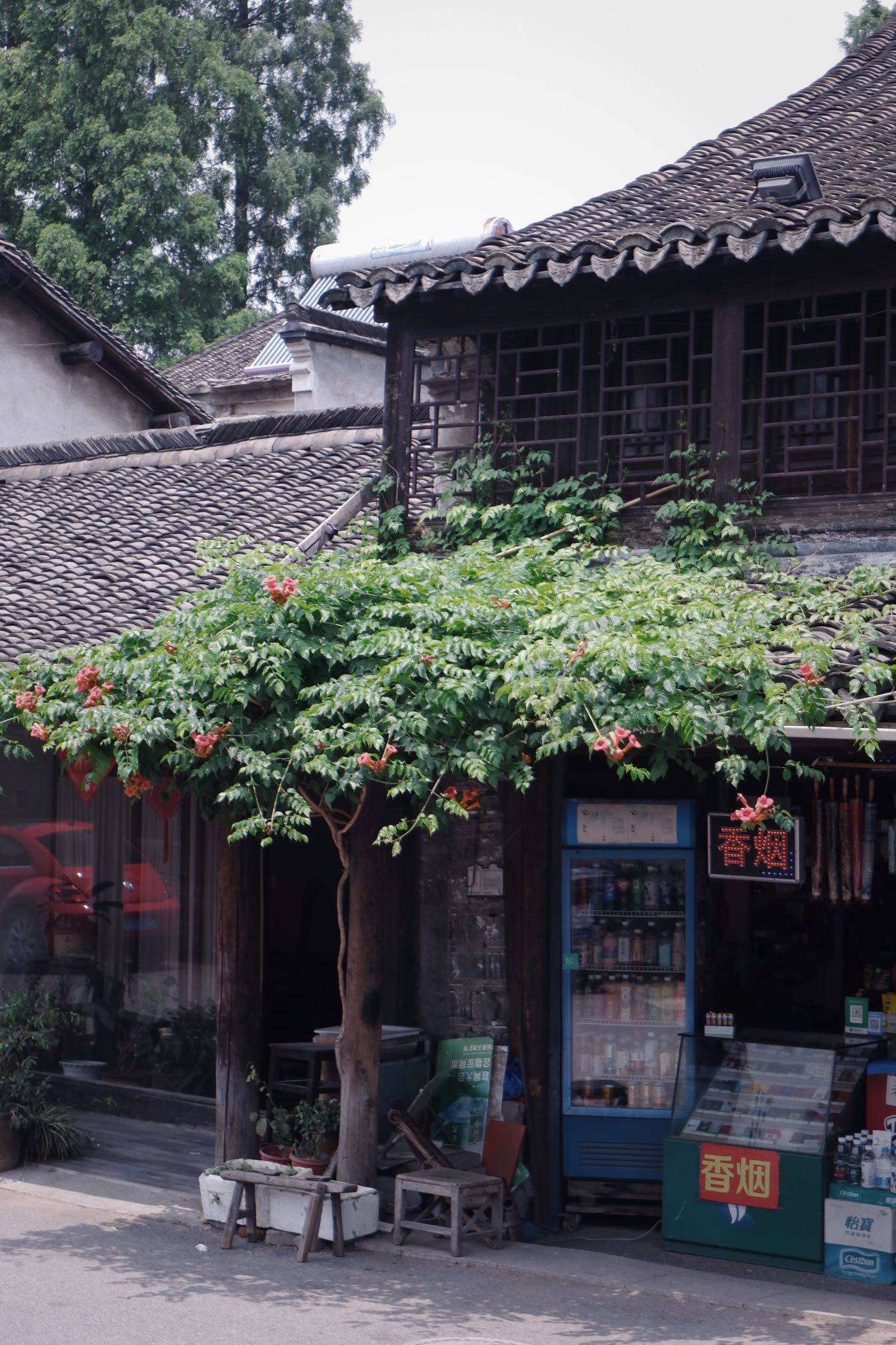 原创             疫情下的乌镇景区几乎没有游客，店铺关张，再现20年前的江南水乡