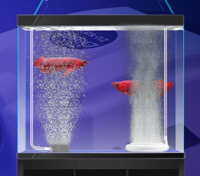 鱼缸氧气太大鱼有害处吗鱼缺氧的表现