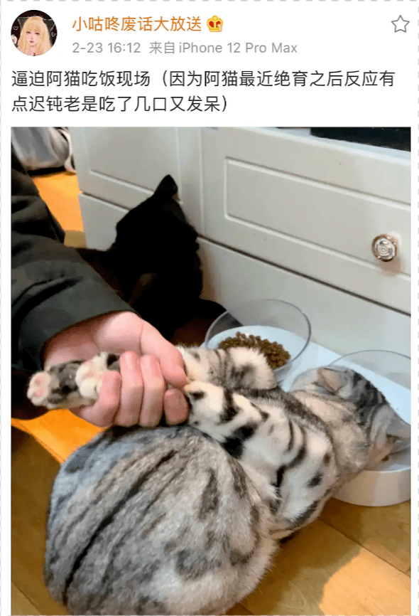 网红机智张被偶遇,四肢纤细腰部却有赘肉,穿时尚裙