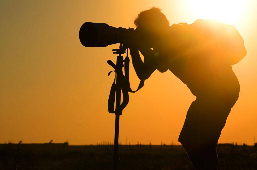 短视频营销团队是否需要建立_编导_内容_摄像师