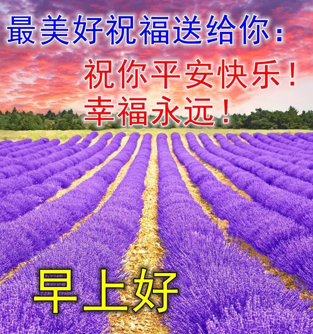 原创8张非常好看的夏日风景早安问候图片带字推荐夏天早上好图片好