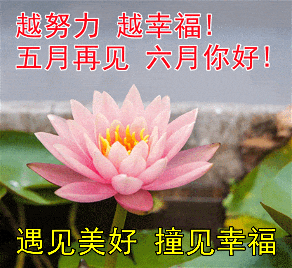 五月再见,六月你好,最好最美的吉祥祝福送给你,快打开接福吧!