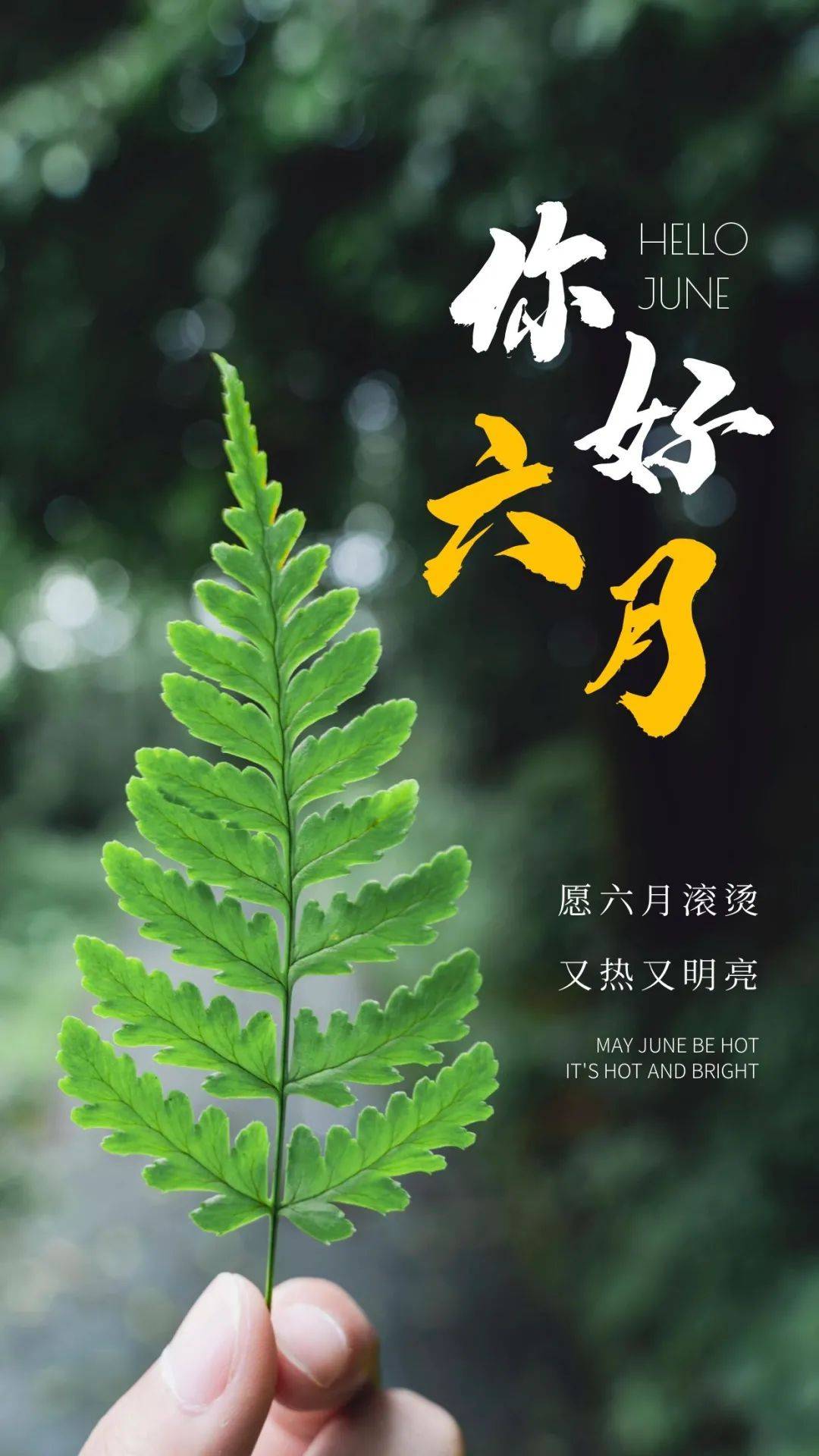 五月再见,六月你好,一切都是新的开始!朋友圈精美海报祝福说说句子