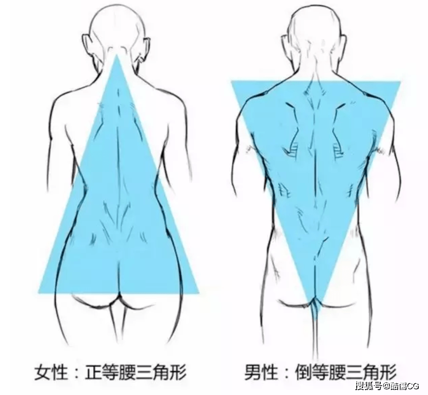 繪畫教程丨性感美背繪製教程分享背影殺手養成系