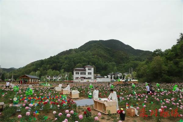 栾川县冷水镇高山牡丹文化节开幕