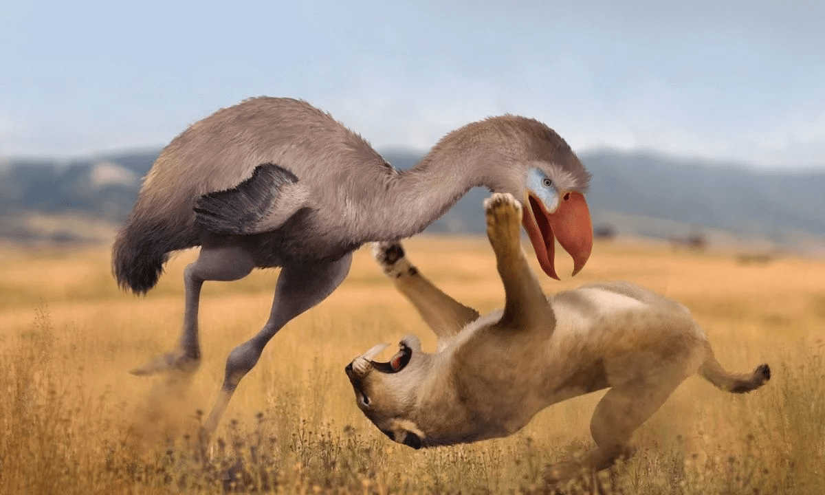史前10大最危险的鸟类,可捕食大象_猎物_泰坦_大图