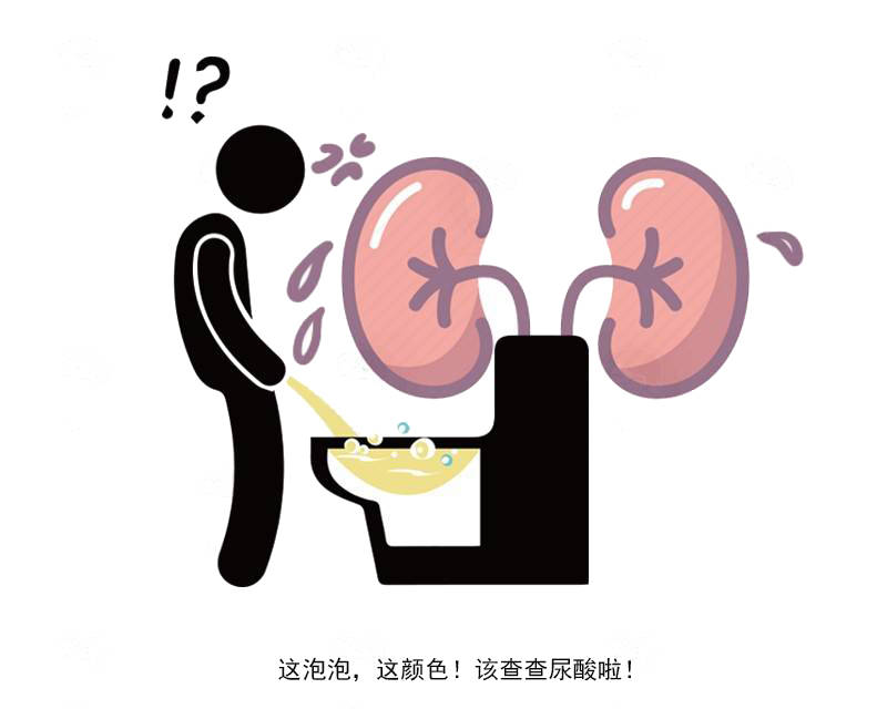 提醒:经常憋尿,身上的尿最终回到哪了?_膀胱_尿液_时间