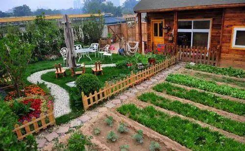 院里有块菜地是什么样的体验？看看这15个菜园子你就知道了