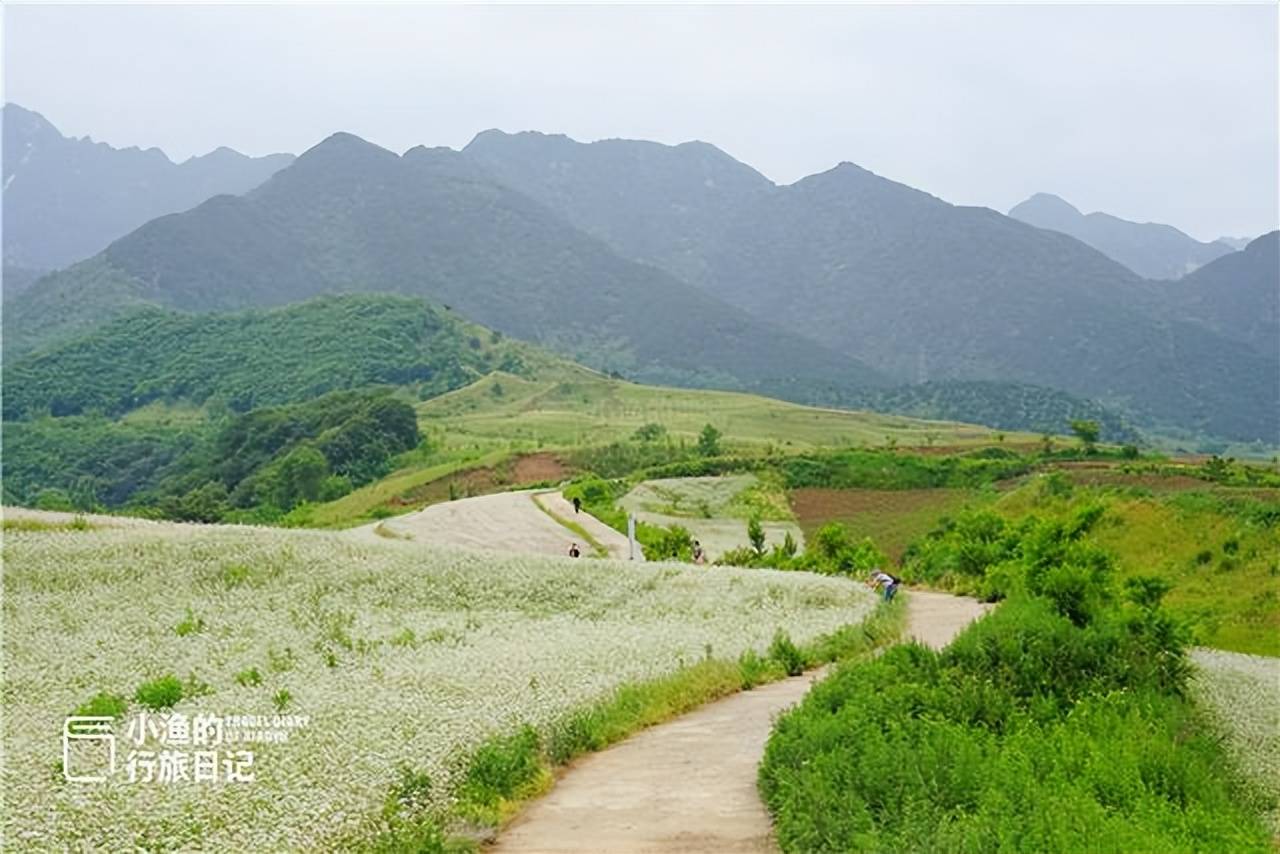 端午假期去哪玩？这条秦岭自驾路线超值！下车就是景，全程0门票