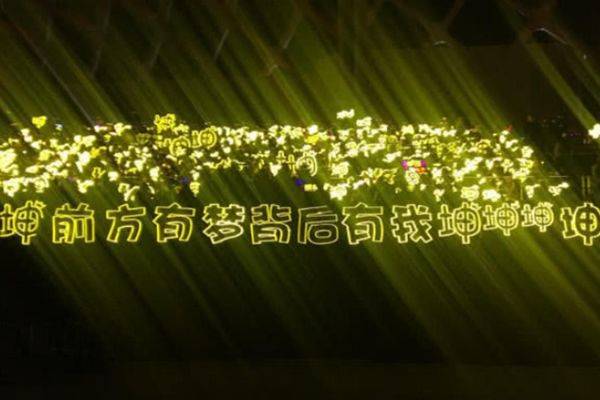 原创不敢随便撞的明星应援蔡徐坤的金海没啥最后一个曾轰动全球