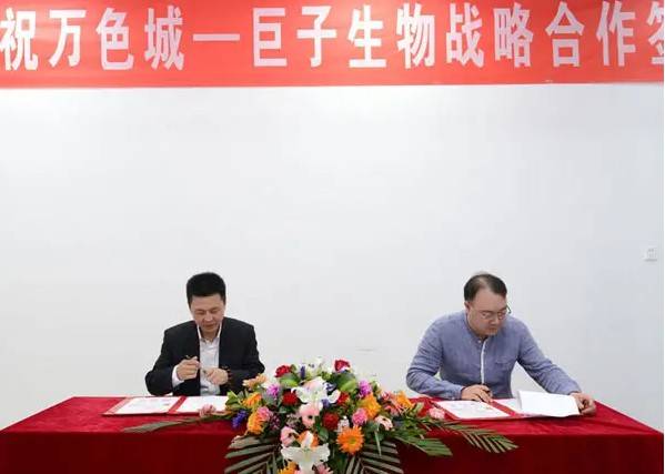 巨子生物关联公司涉嫌传销：或为此断送上市之路