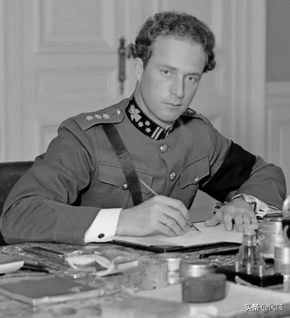 看看二战时飞行员拍到的这条巨蟒就知道了_利尔德_比利时_时间