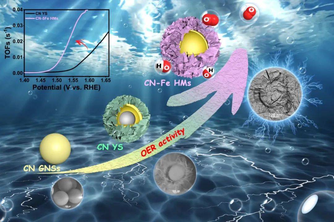 上海大学冯凌燕教授课题组在电催化研究获进展