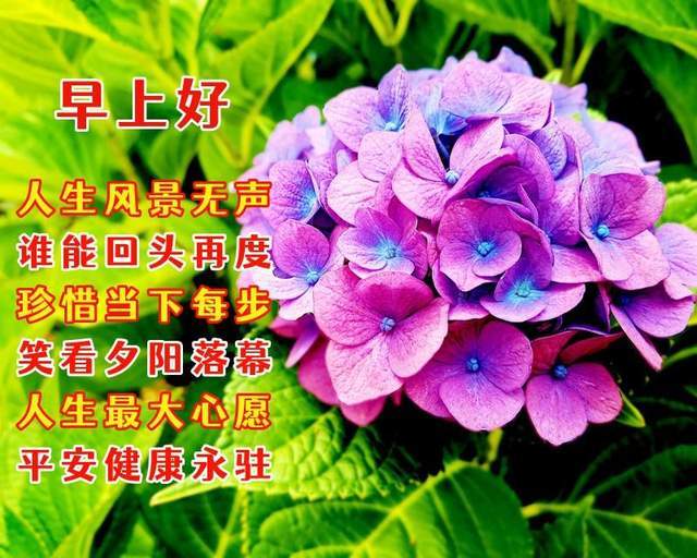 6月9日早上好祝福語,願你平安健康永駐!_好運_人生_安吉