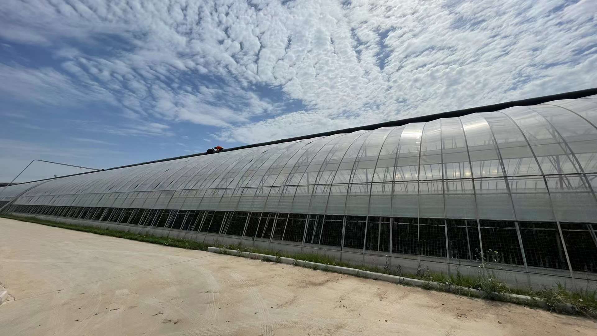 手机在手,随时种棚,传统温室升级智能大棚的过程_工作_农业_暖棚