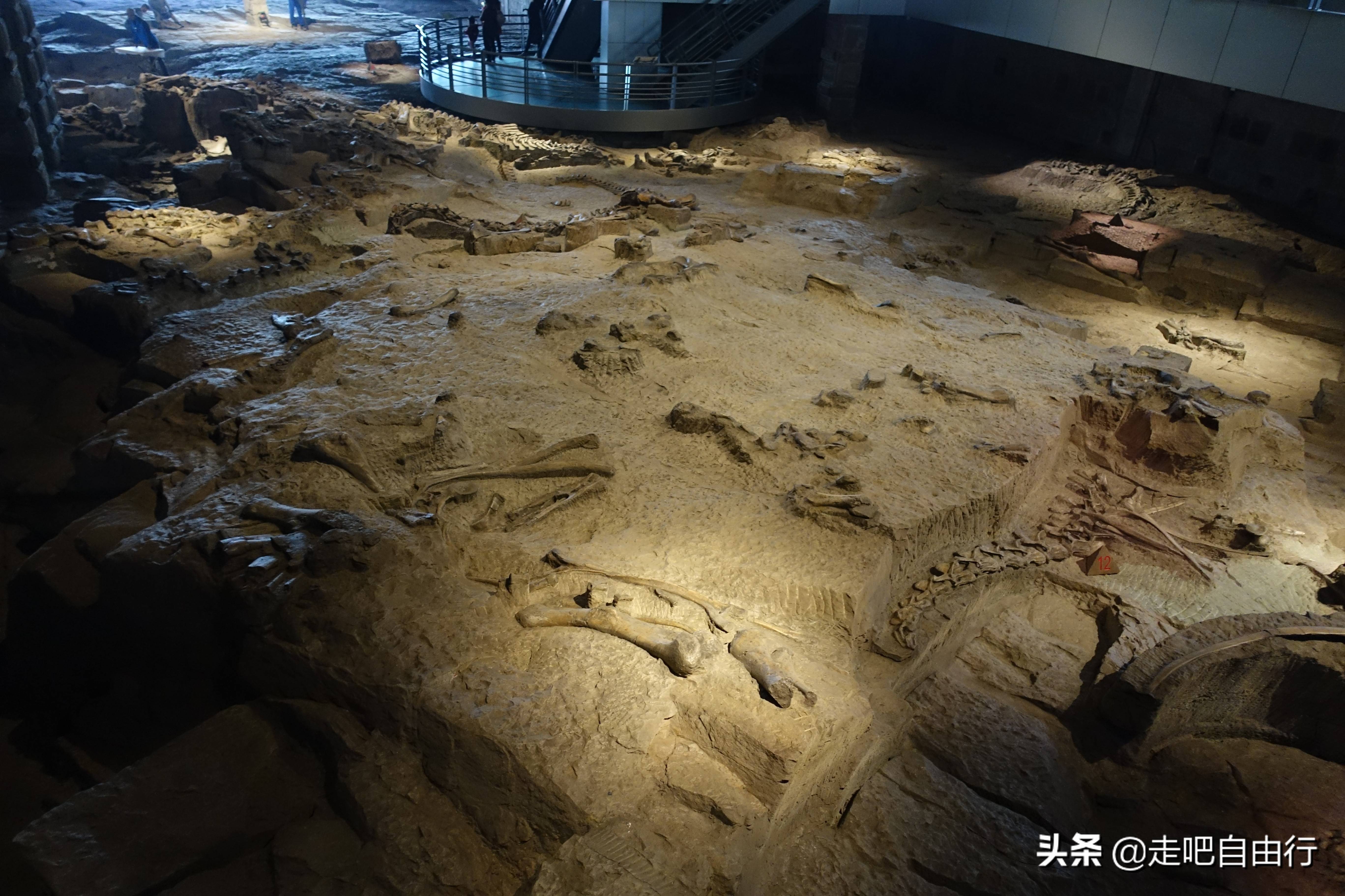 原创走进恐龙遗址群窟号称川南四绝之一的自贡恐龙化石博物馆