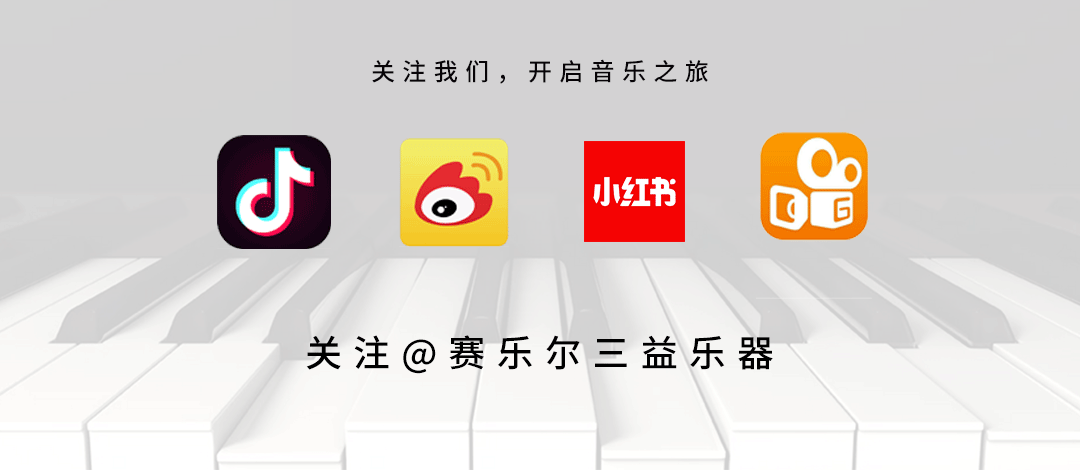 祝贺宋泽老师正式成为赛乐尔三益艺术家