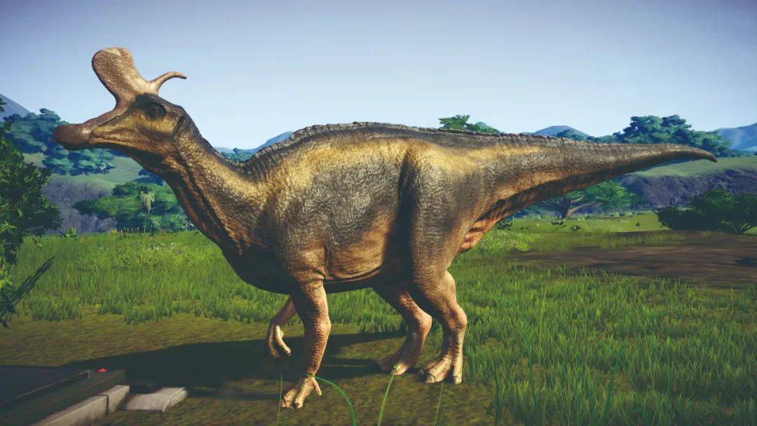 另一些恐龙的名字则来自于它首次被发现的地方,例如阿根廷龙和丹佛龙.