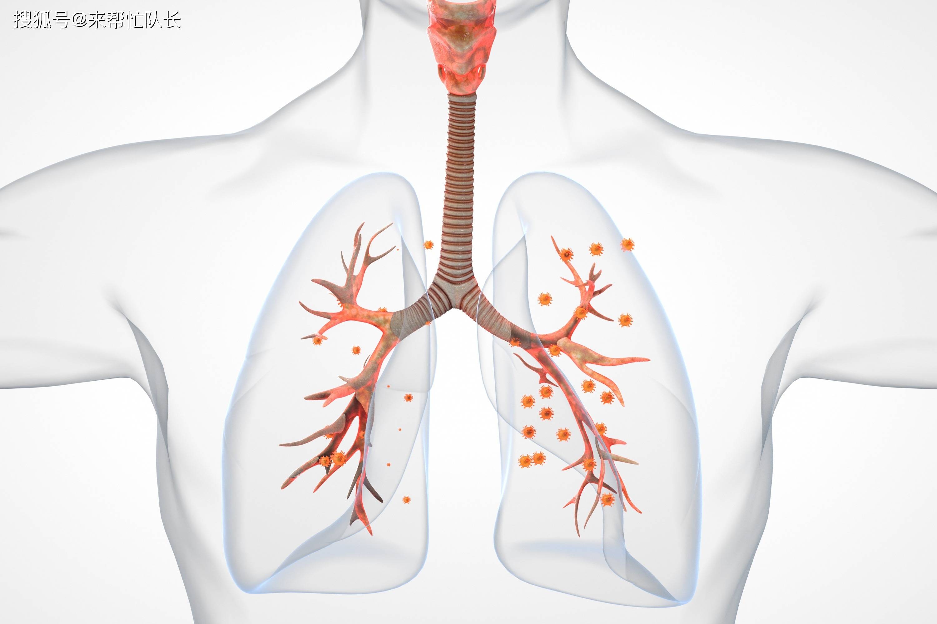 肺动脉高压症状表现及体征表现需谨记_凤凰网健康_凤凰网