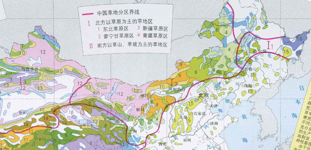 东北森林地图图片