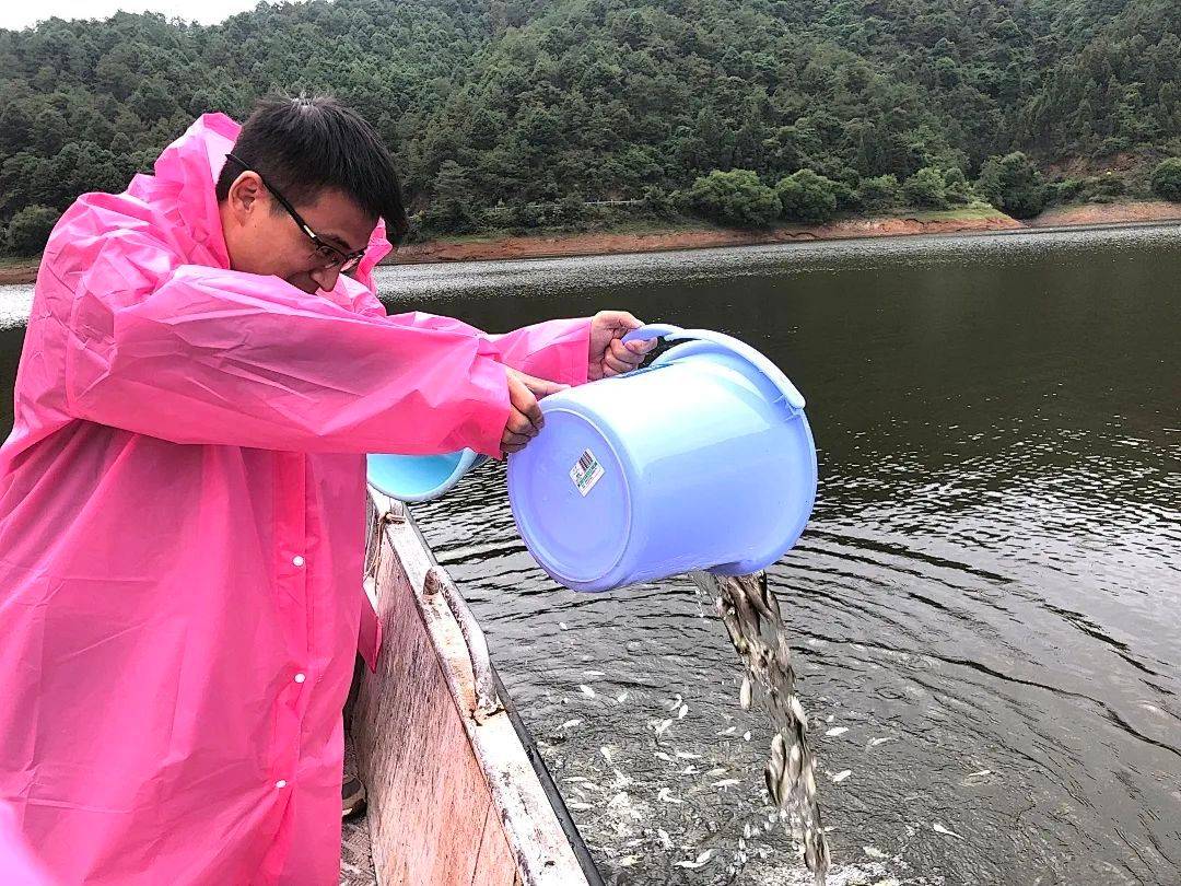 60万尾鲢鳙鱼和高背鲫鱼放流牛栏江_嵩明县_保护_活动