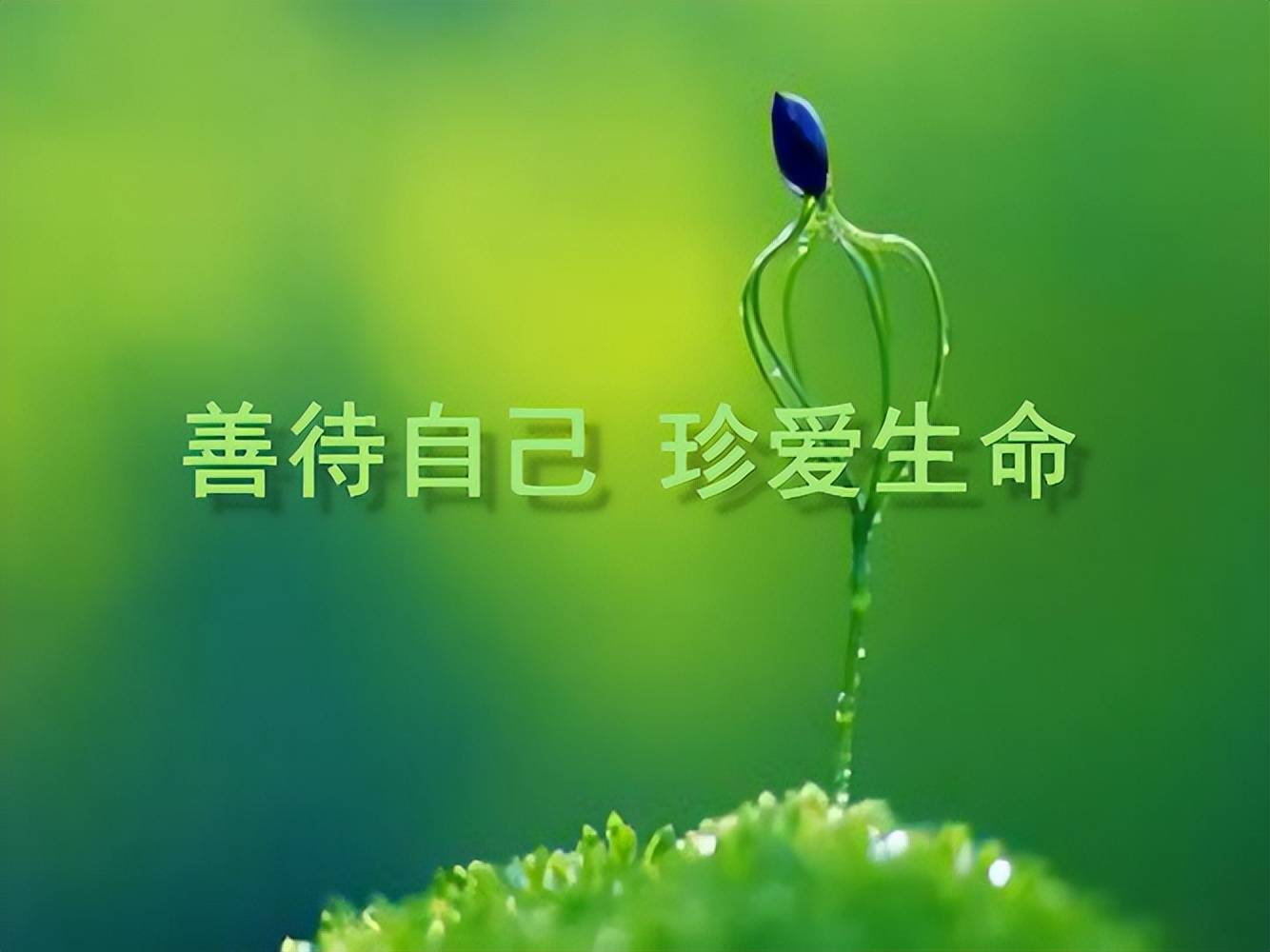 人生苦短,善待自己_老人_夕阳_光环