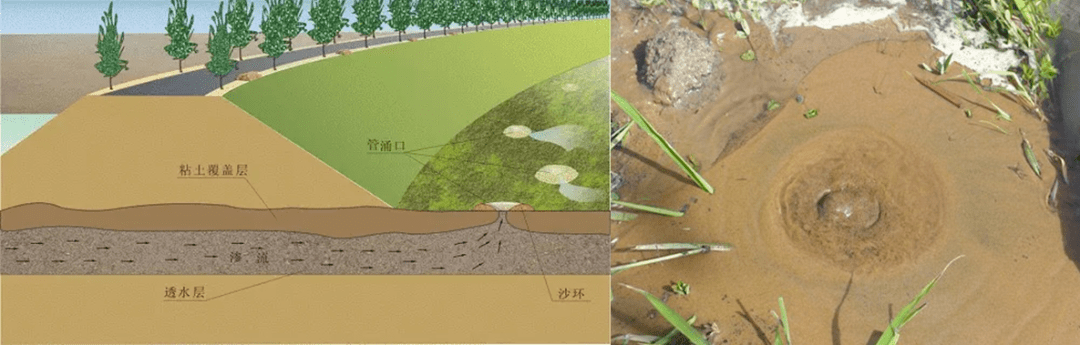 第36天 | 每日背一背,一建准拿证!_mm_施工_支护