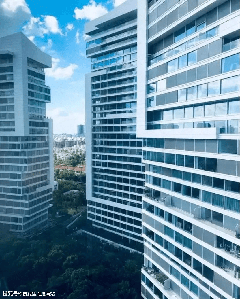 上海普陀中鹰黑森林真相忒火了真的有那么火了解背后原因以及详情