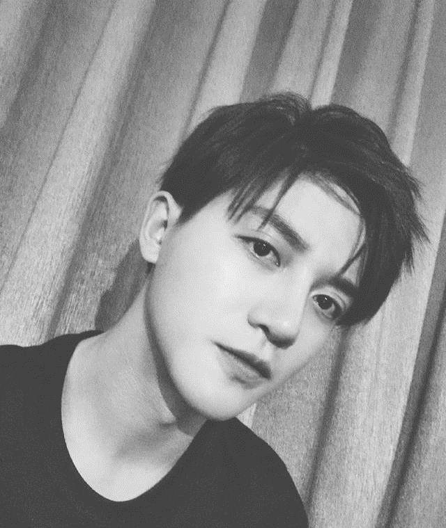 看完履历粉丝爱了_陈博豪_青春_因为