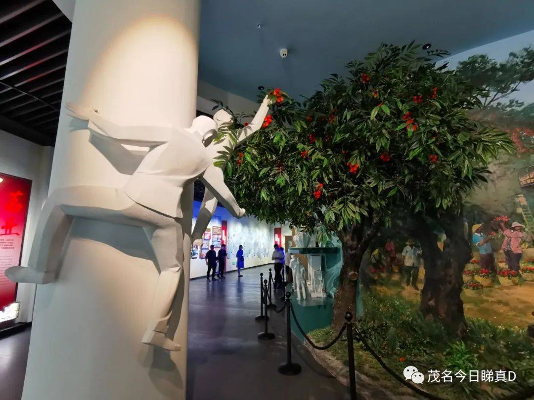 中国荔枝博览馆茂名又一高大上展馆来了