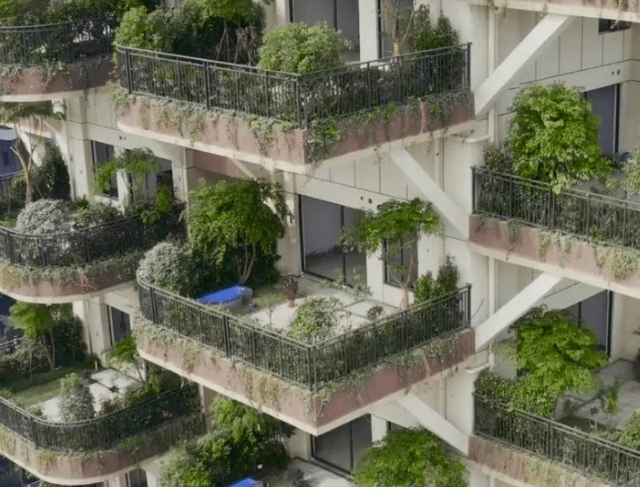 成都有个小区，楼面都被绿色植物所覆盖，还被誉为“垂直森林”