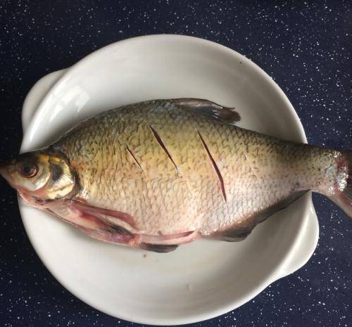 清蒸鳊鱼注意这一个地方鱼肉鲜嫩好吃不腥