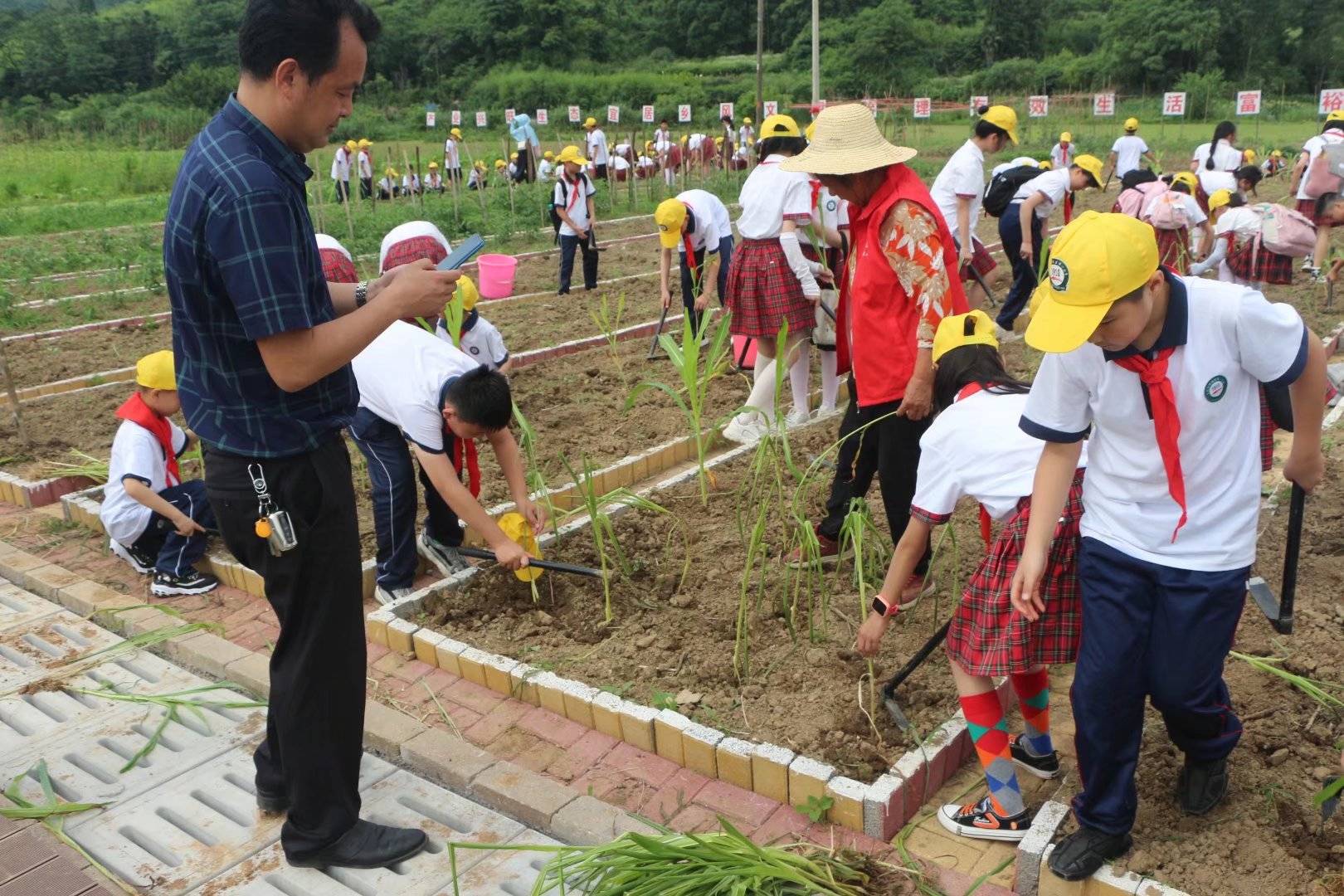 柴桑区第一小学到新合镇浔优品农场开展户外研学活动
