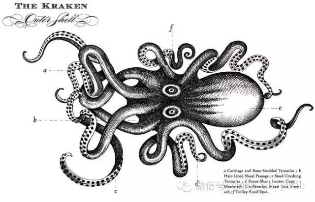 深海巨妖:触手之朗姆惊魂_海妖_网站_proximo