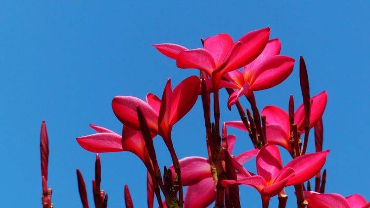 另一方面,属鼠的他们,往后4个月会遇到经验丰富的前辈,给你们指点迷津