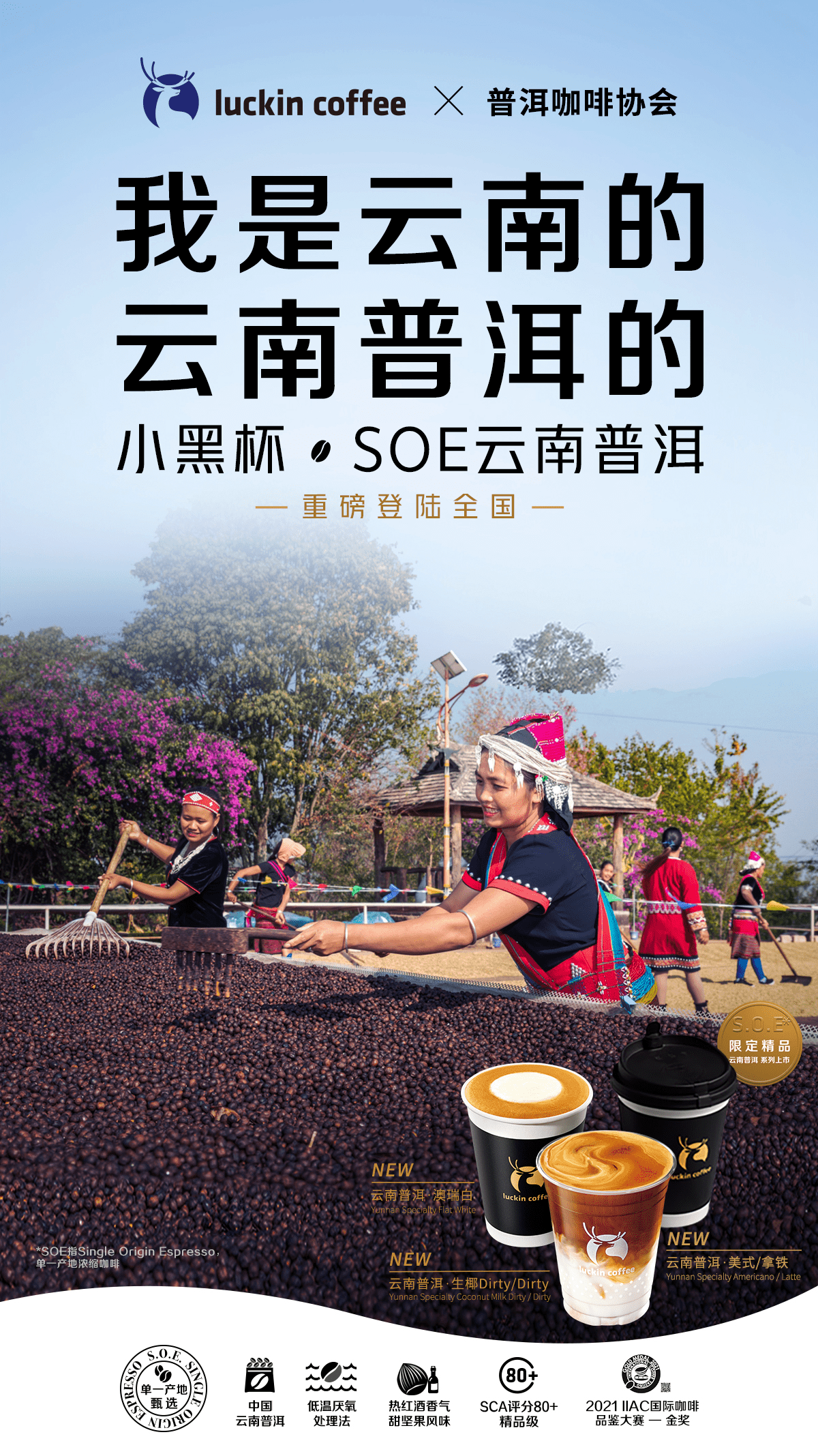 瑞幸soe云南普洱摘金咖啡奥斯卡的国产精品豆你喝了没