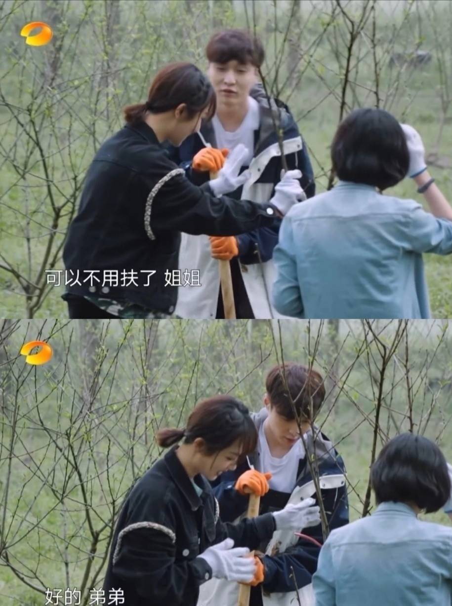 原创辟谣辟出了cp感杨紫和张艺兴有点好磕