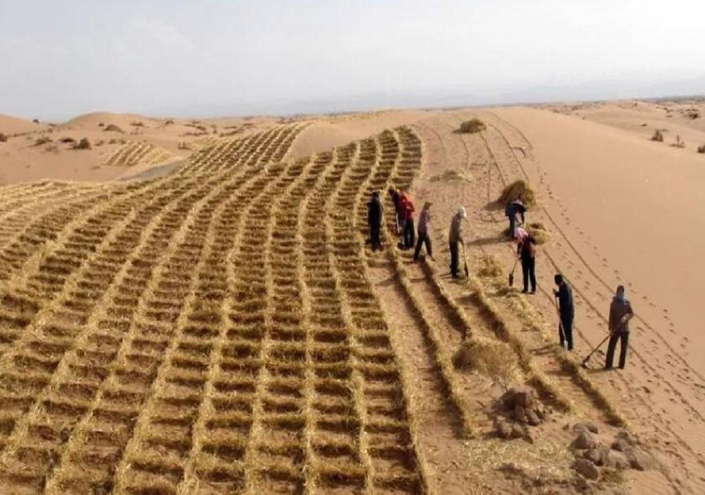 原创毛乌素沙漠快要消失塔克拉玛干同样缺少植被为何不会被消灭
