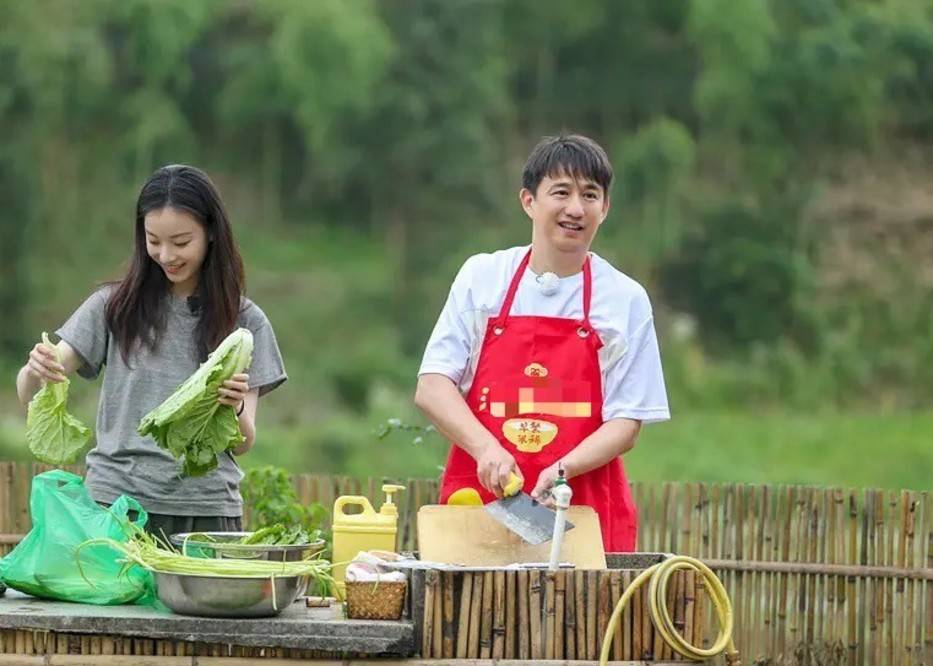 搞笑好看综艺节目韩国_向往的生活综艺简介向往的生活向往的生活播出