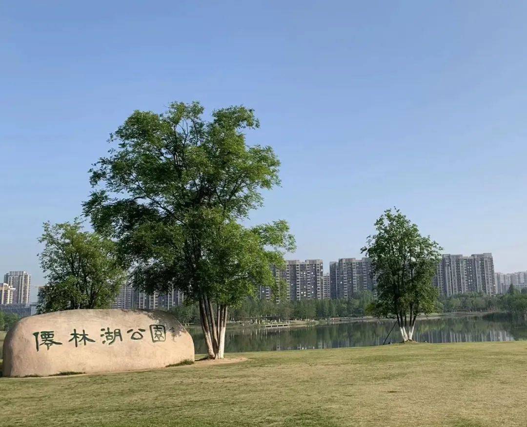 仙林湖限价涨了5000/平米!中海观文澜考察日记,南京买房建议