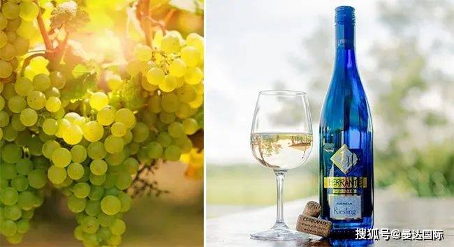 15种酿白葡萄酒品种及酒香,你知道哪些?_酿造_香气_法国